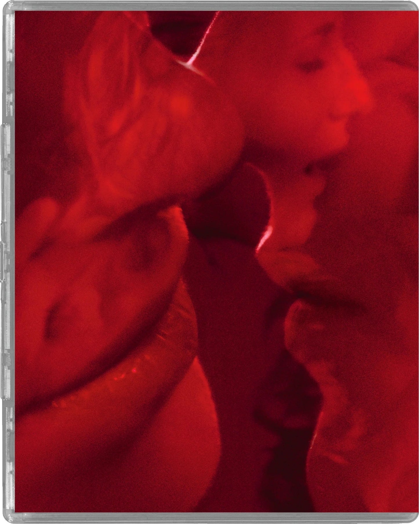 Daughters Of Darkness (Limited Edition) [4K UHD] [UK]