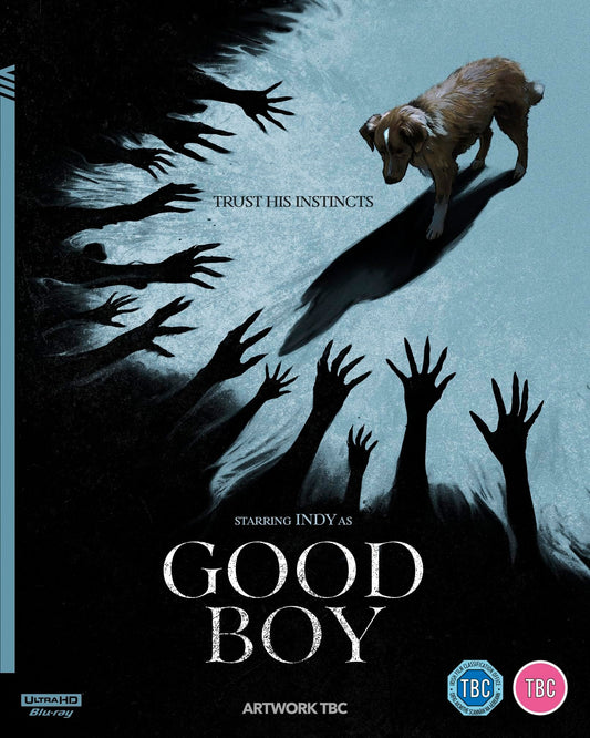 Good Boy (2025) [4K UHD] [UK]