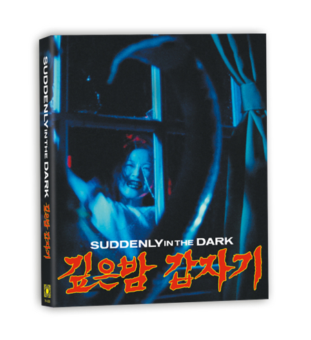 Suddenly In The Dark (Standard Edition) [4K UHD] [US]