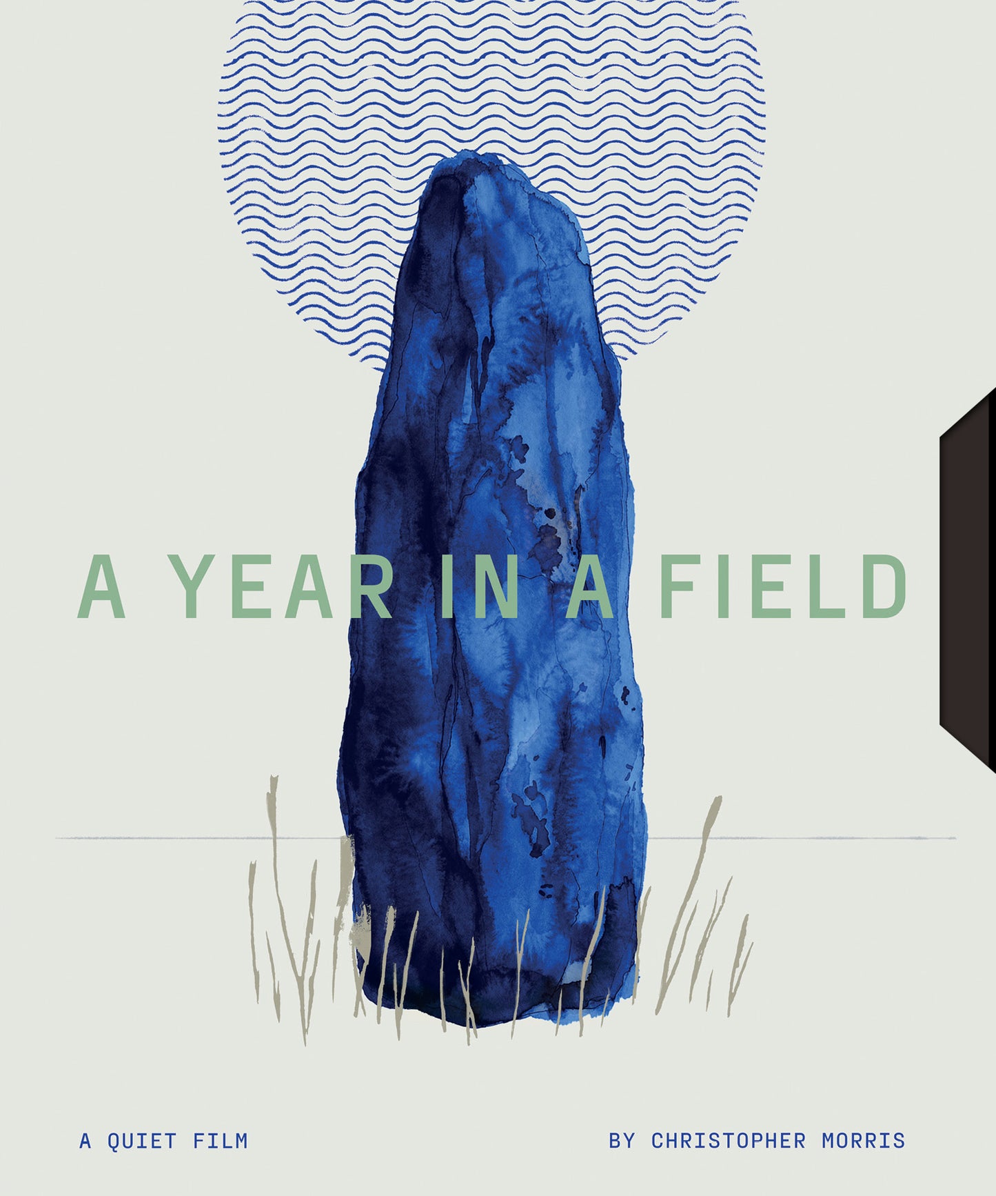 A Year In A Field [Blu-ray] [US]